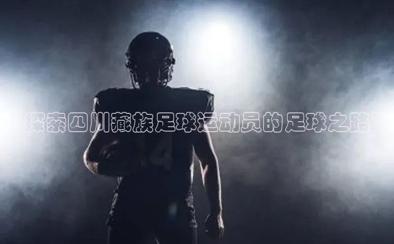 乐玩国际官方唯一官网百度学术“探索四川藏族足球运动员的足球之路”