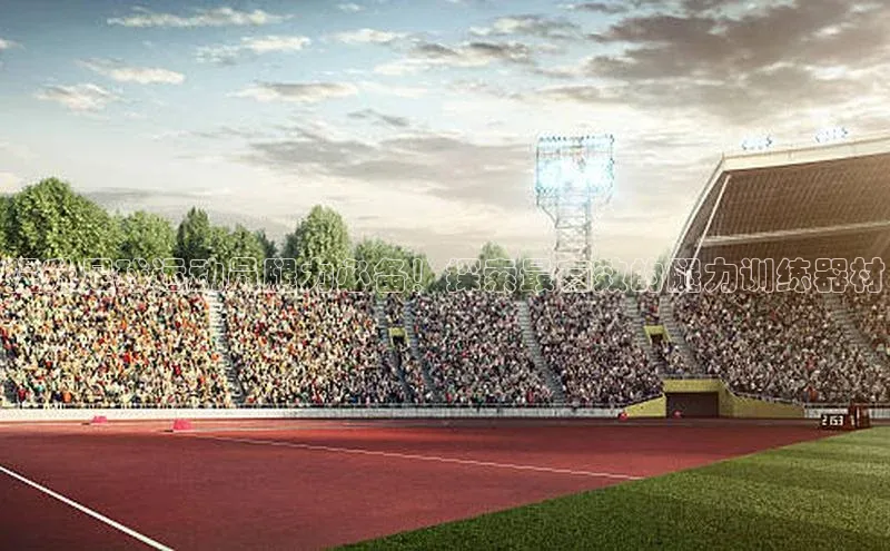 乐玩国际阿里尔公司提升足球运动员腿力必备！探索最有效的腿力训练器材