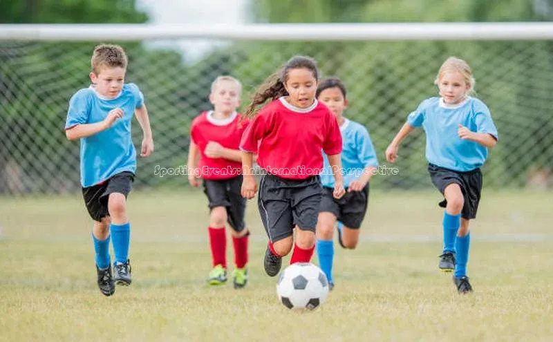 乐玩lewin官网手机版登录百度翻译SportingEvents:AnInternationalPerspective