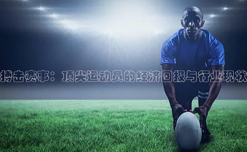 乐玩lewin官网手机版登录汉得信息搏击赛事：顶尖运动员的经济回报与行业现状