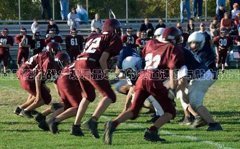 越野跑挑战：观看最刺激的赛道速度与毅力较量