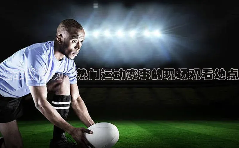 城市的活力：热门运动赛事的现场观看地点