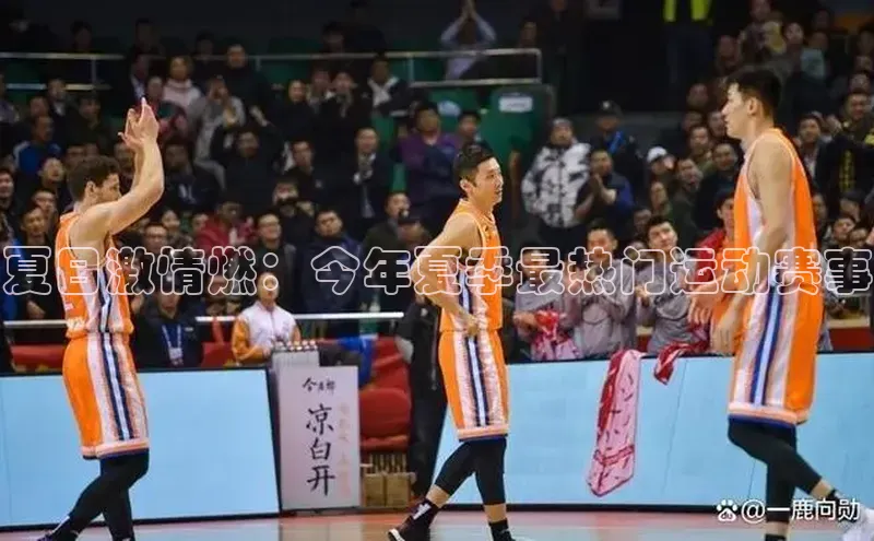 夏日激情燃：今年夏季最热门运动赛事