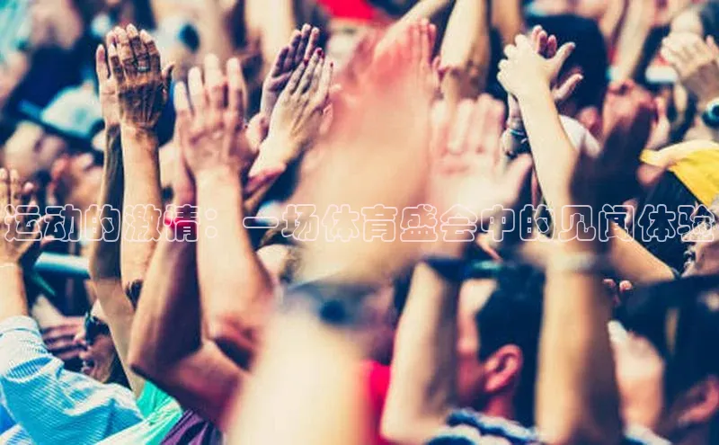 运动的激情：一场体育盛会中的见闻体验