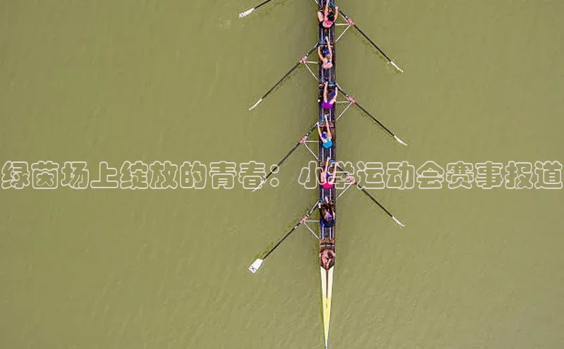 绿茵场上绽放的青春：小学运动会赛事报道