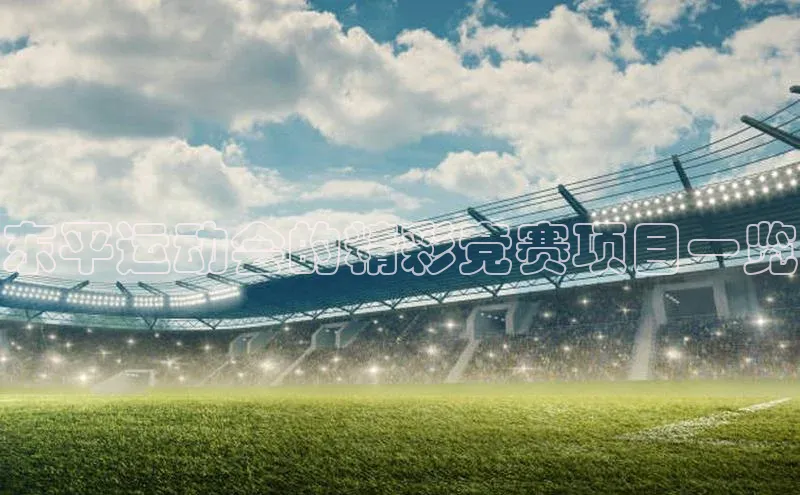 东平运动会的精彩竞赛项目一览