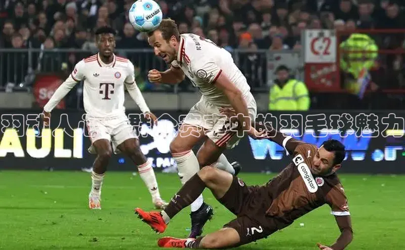 羽动人心：群众赛事中的羽毛球魅力