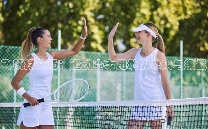 飞跃绿茵场：运动赛事用地的未来与挑战