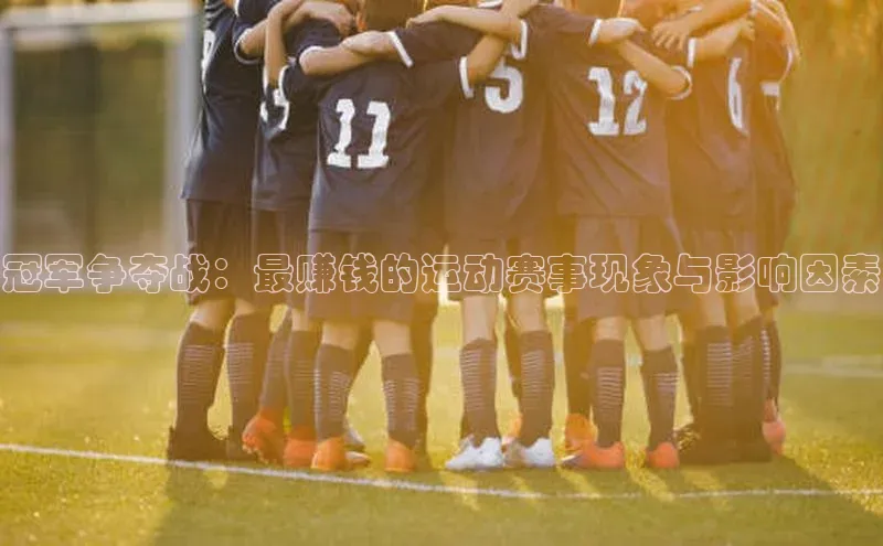 冠军争夺战：最赚钱的运动赛事现象与影响因素
