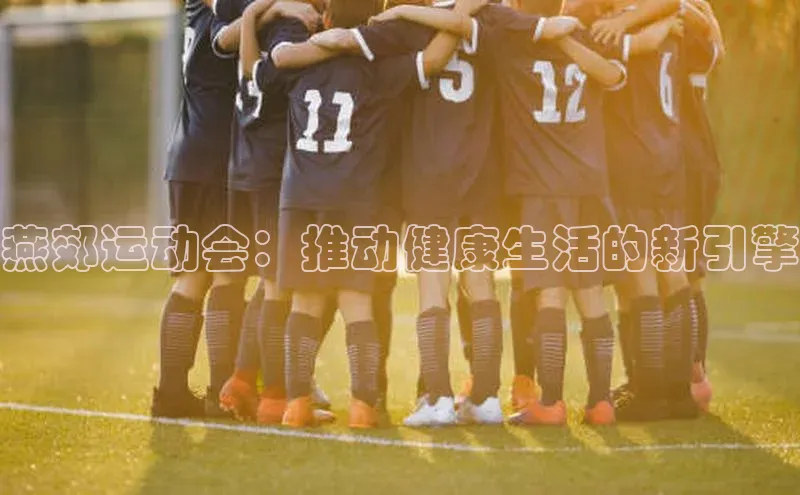 乐玩lewin官网入口