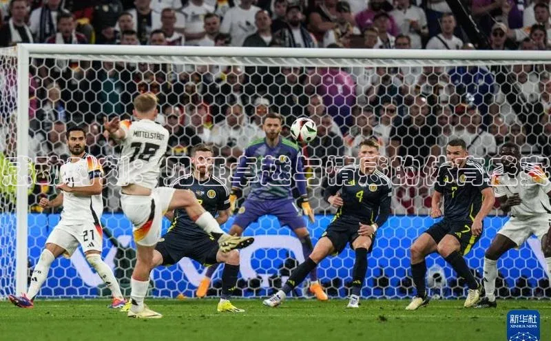 感动时刻：见证卓越与情感的体育盛宴