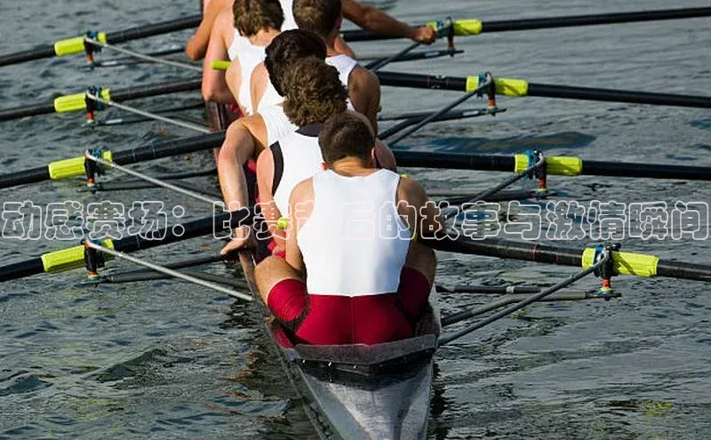 乐玩lewin官网入口