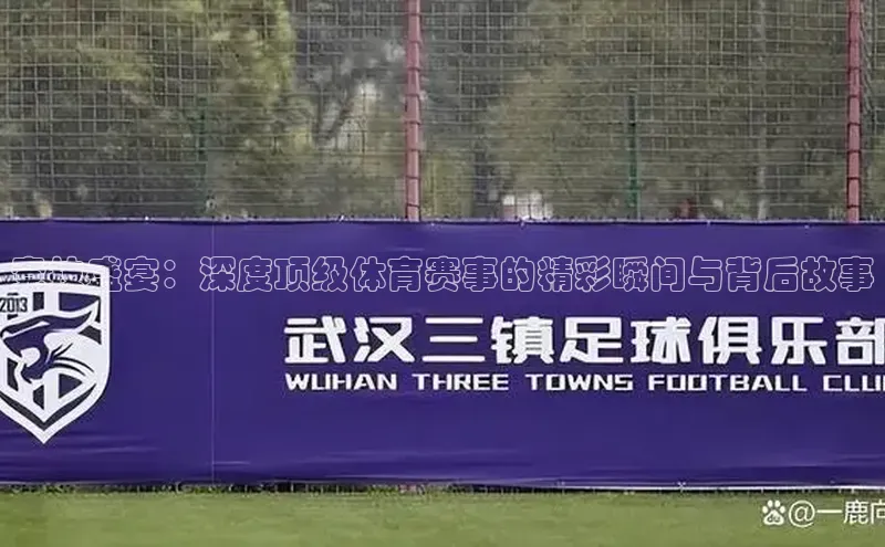 竞技盛宴：深度顶级体育赛事的精彩瞬间与背后故事